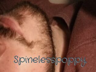 Spinelesspoppy