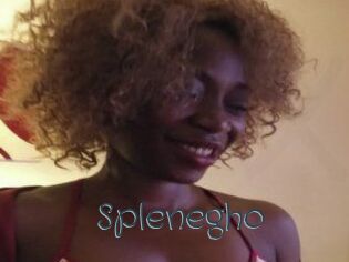 Splenegho