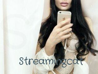 Streamingcat