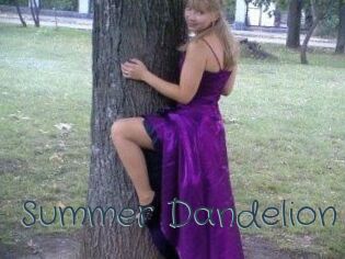 Summer_Dandelion