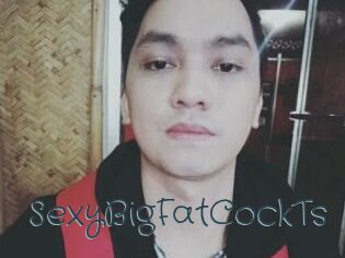 _SexyBigFatCockTs_
