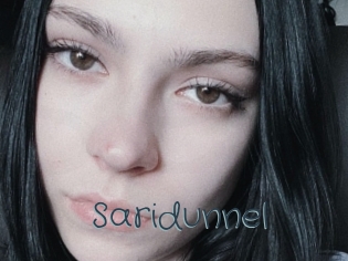 Saridunnel