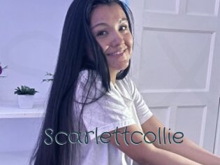 Scarlettcollie