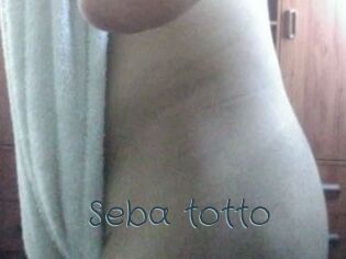 Seba_totto
