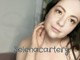 Selenacartery
