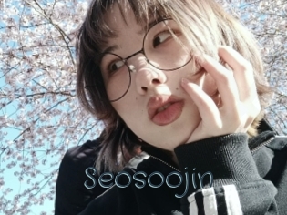 Seosoojin