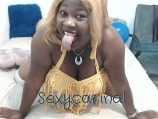 sexycarinal Sexcam Livesex