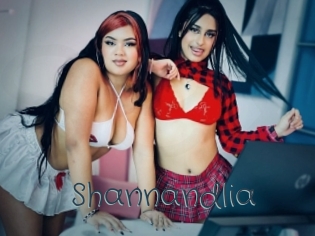 Shannandlia