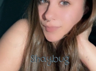 Shaybug