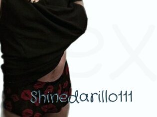 Shinedarillo111