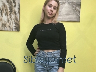 Sibleyarnet