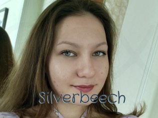 Silverbeech