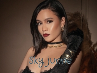 Sky_junne