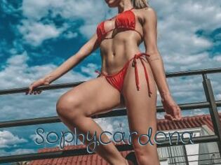 Sophycardona