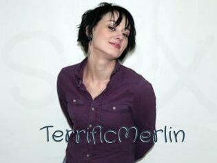 TerrificMerlin