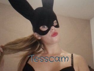 Tesscam