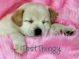 TestThingy