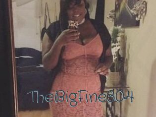 TheBigFine304