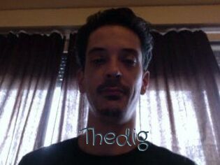 Thedig