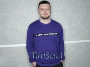 TimSoul