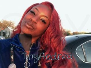 TinyAndrea