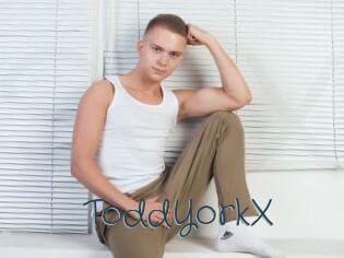 ToddYorkX