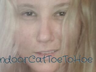 TravellingIndoorCatToeToHoe