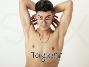 Taylerr