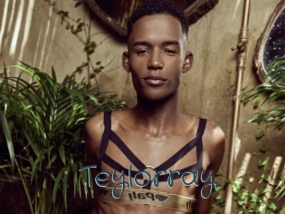 Teylorray
