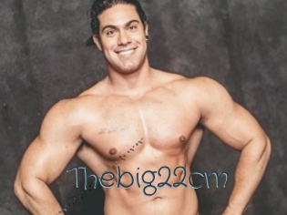 Thebig22cm