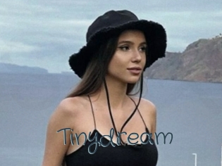 Tinydream