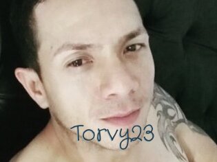 Torvy23