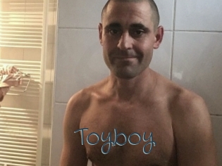 toyboy Sexcam Livesex