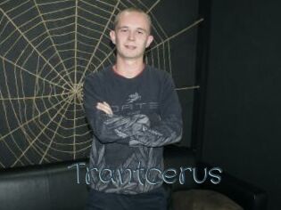 Trantcerus