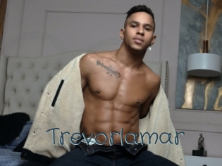 Trevorlamar