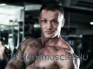 Tridentmuscles4u