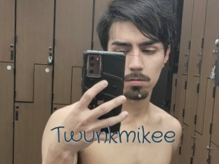 Twunkmikee