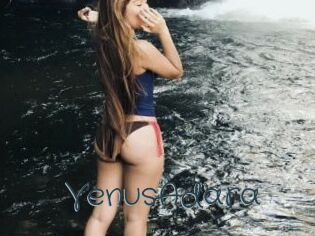 VenusAdara