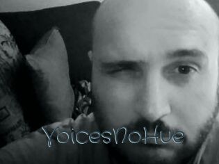 VoicesNoHue