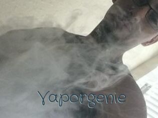 Vapor_genie