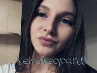 Velvetleopard