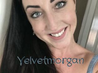 Velvetmorgan