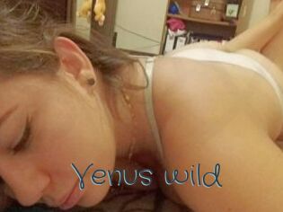 Venus_wild