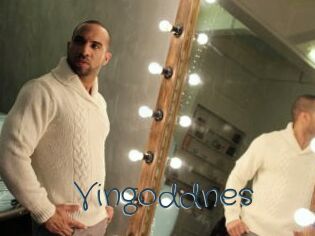 Vingoddnes