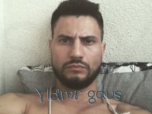 Vldmr_gaus
