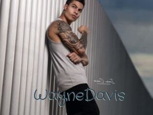 WayneDavis