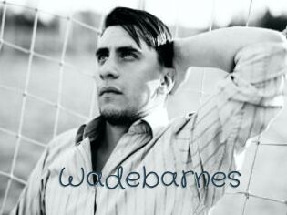 Wadebarnes