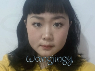 Wangjingy