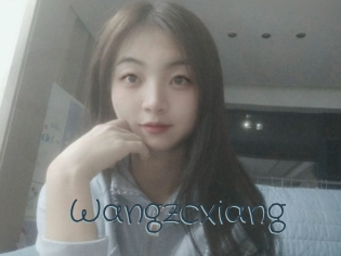 Wangzcxiang