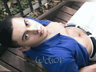 Wdior